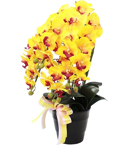 光触媒　人工観葉植物　フェイクグリーン　フレッシュ胡蝶蘭 3本立W 光触媒 人工観葉植物 フェイクグリーン フレッシュ胡蝶蘭W/L5本立